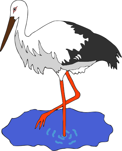 Kress's stork in a pond vectorized clipart