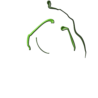 Kruhotvar XXIX - vo farbe clipart
