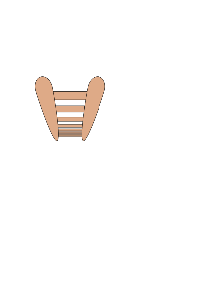 Ladder clipart