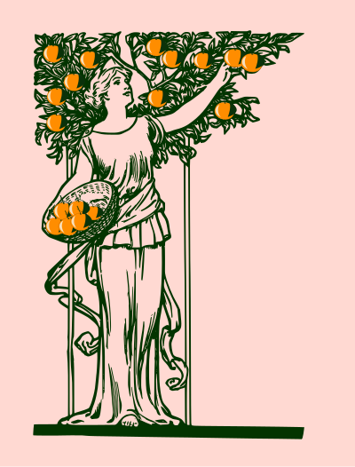 Lady picking oranges-remix clipart