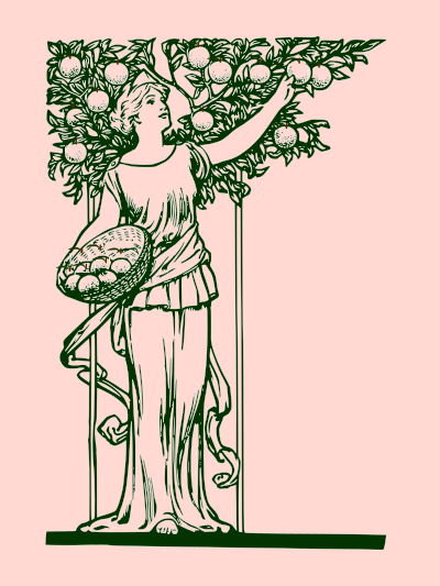 Lady picking redapple clipart
