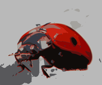 Ladybird-beetle clipart
