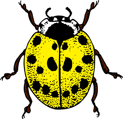 Ladybird (colour 2) clipart