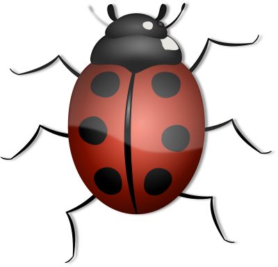 Ladybug clipart