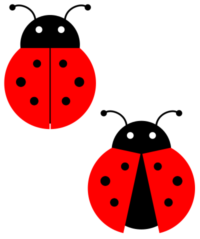 Ladybug clipart