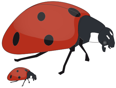 Ladybug clipart