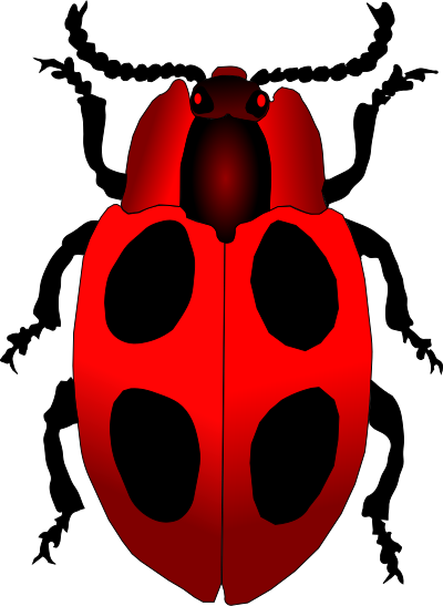 Ladybug clipart