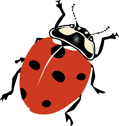 Ladybug clipart