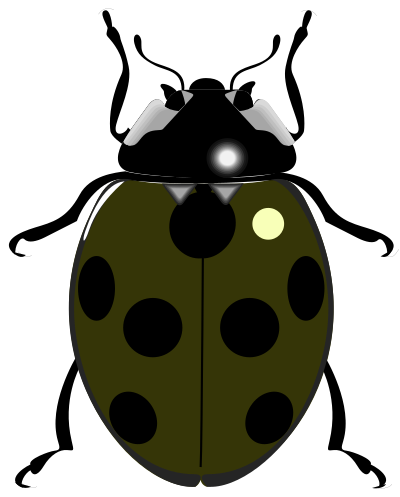 Ladybug clipart
