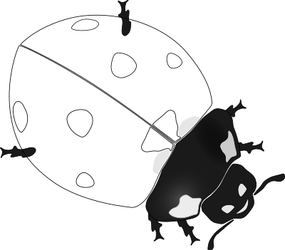 Ladybug clipart