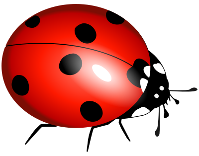 ladybug, ladybirds, boruÅ¾Ä— clipart