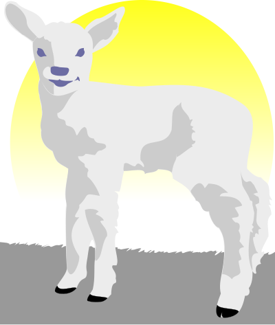 Lamb clipart