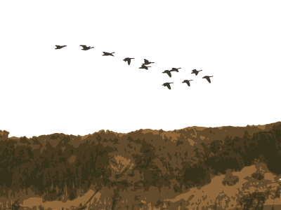 Landscape with geese clipart