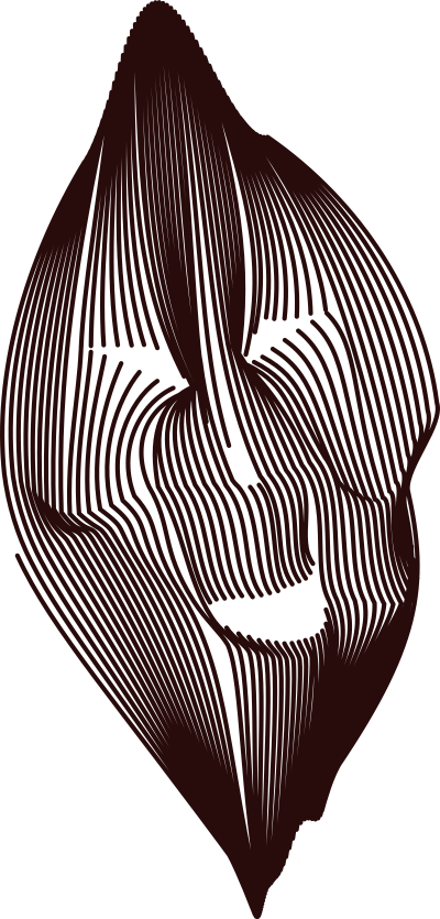 Laughing lines clipart