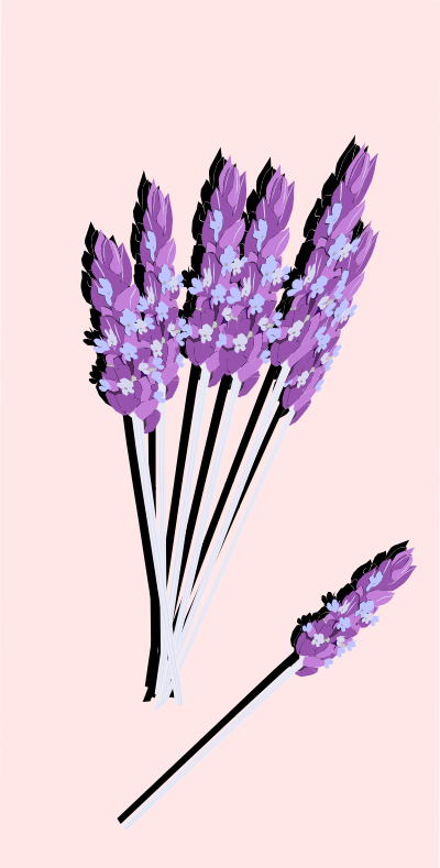 Lavender02 clipart