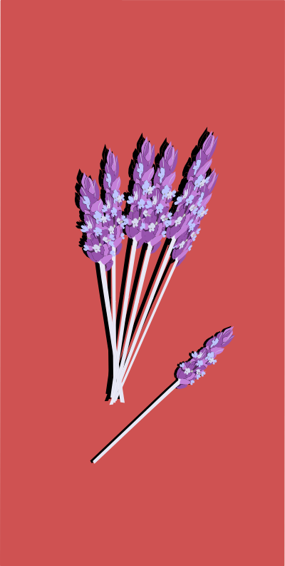 Lavender03 clipart