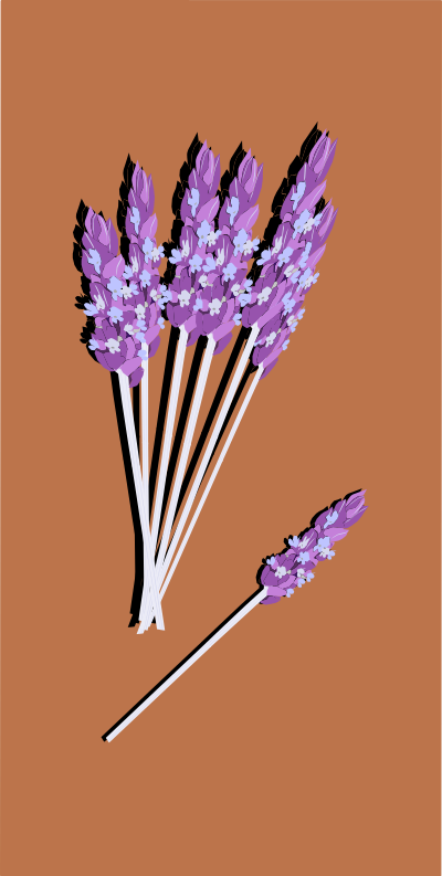 Lavender04 clipart