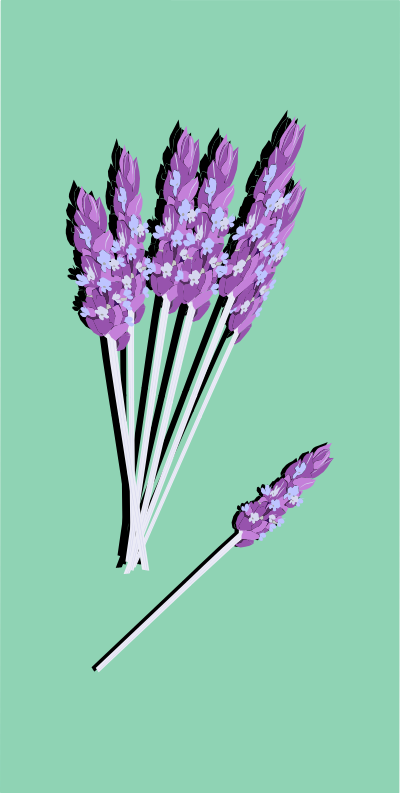 Lavender05 clipart
