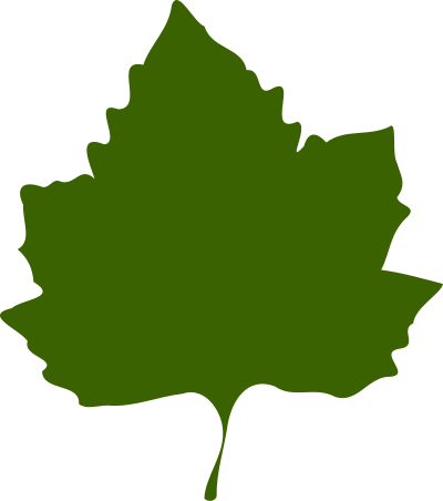 Leaf 02 clipart