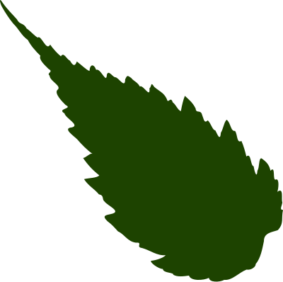 Leaf 05 clipart
