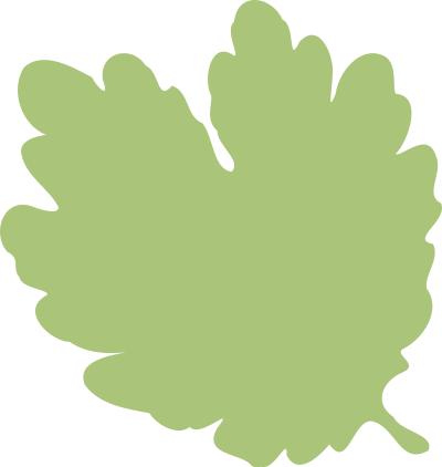 Leaf 06 clipart