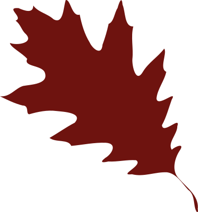 Leaf 08 clipart