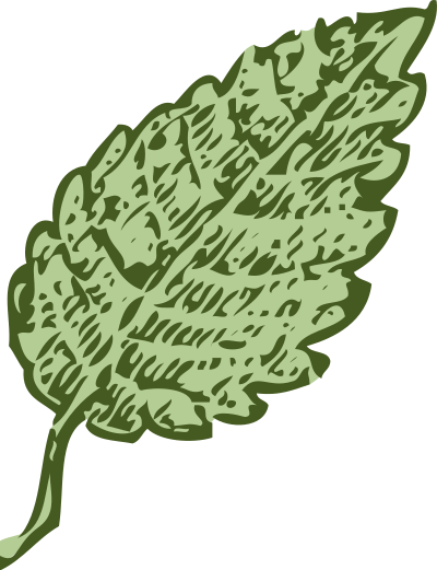 Leaf 1 clipart