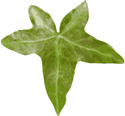 Leaf clipart