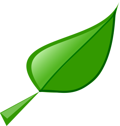 Leaf clipart