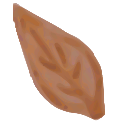 Leaf clipart