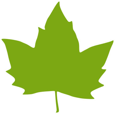 Leaf clipart