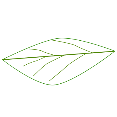 Leaf clipart
