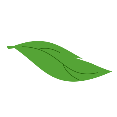 Leaf clipart