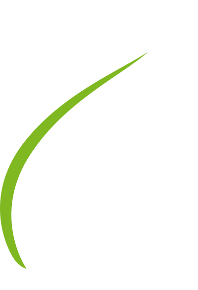 Leaf clipart