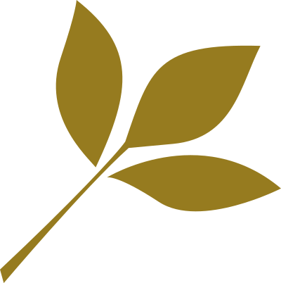 Leaf clipart