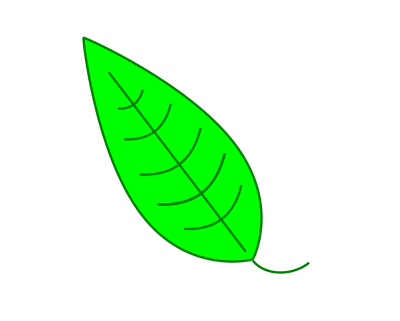 Leaf - Green Simple Leaf clipart