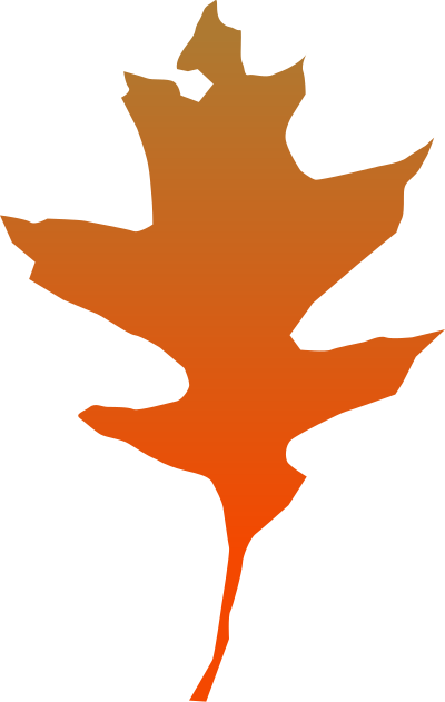 Leaf oak clipart