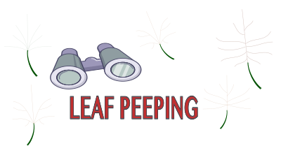 Leaf Peeping clipart