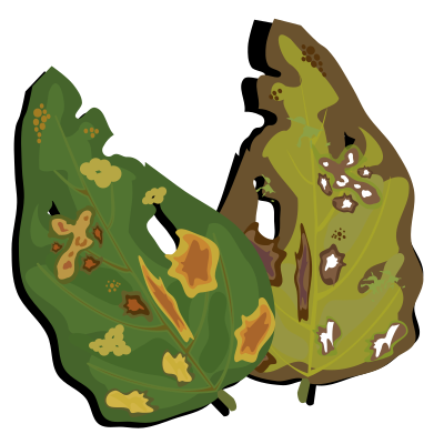 Leaf spot clipart