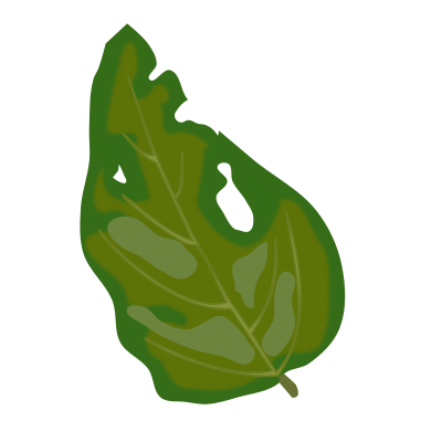 Leaf spot base clipart