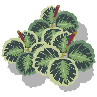 Leafs clipart