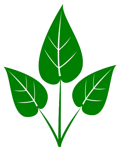 Leaves clipart