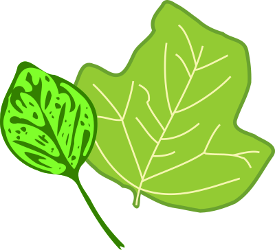 Leaves clipart