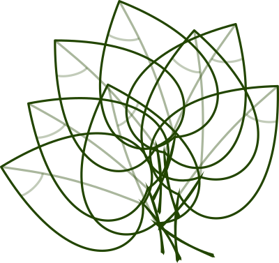Leaves clipart
