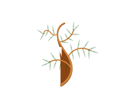 Leaves and branches 2 clipart