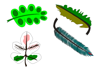 Leaves and feather clipart