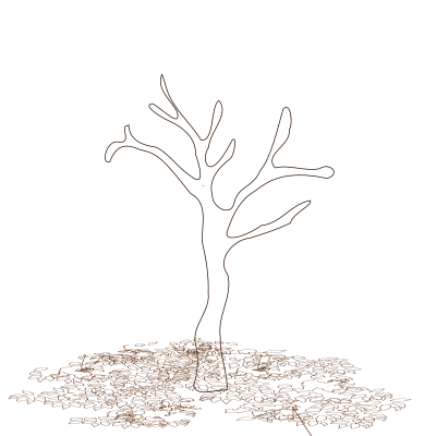 Leaves to the ground clipart