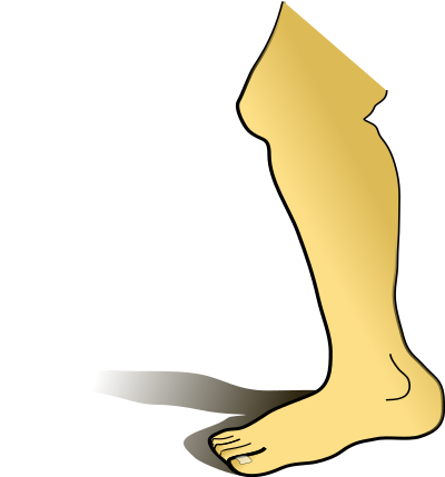Leg clipart