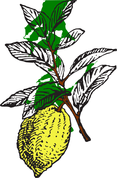 Lemon 3 (colour) clipart