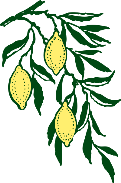 Lemon branch clipart